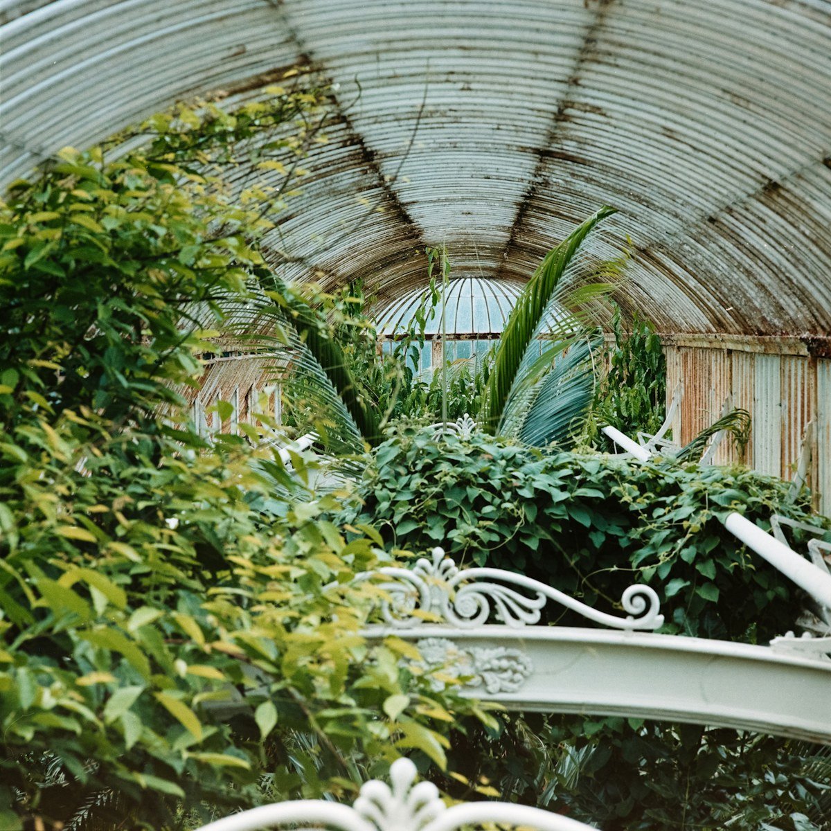Illustrative growing environment for small greenhouse covers